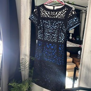 Reverse Ombré Shift Dress